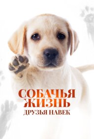 Собачья жизнь: Друзья навек (2023)  4K Ultra HDR